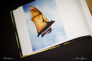 article-5DMkII-IMG_1263 « No Words 1X5 » de 1x.com