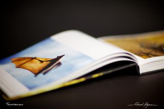 article-5DMkII-IMG_1264 « No Words 1X5 » de 1x.com