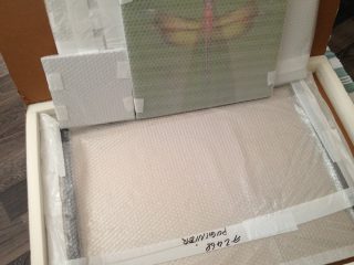 Exposition « Petits et Petits, les insectes » Médiathèque Jacques Duhamel 