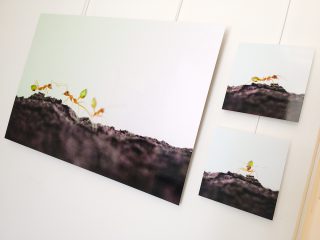 Exposition « Petits et Petits, les insectes » Médiathèque Jacques Duhamel 