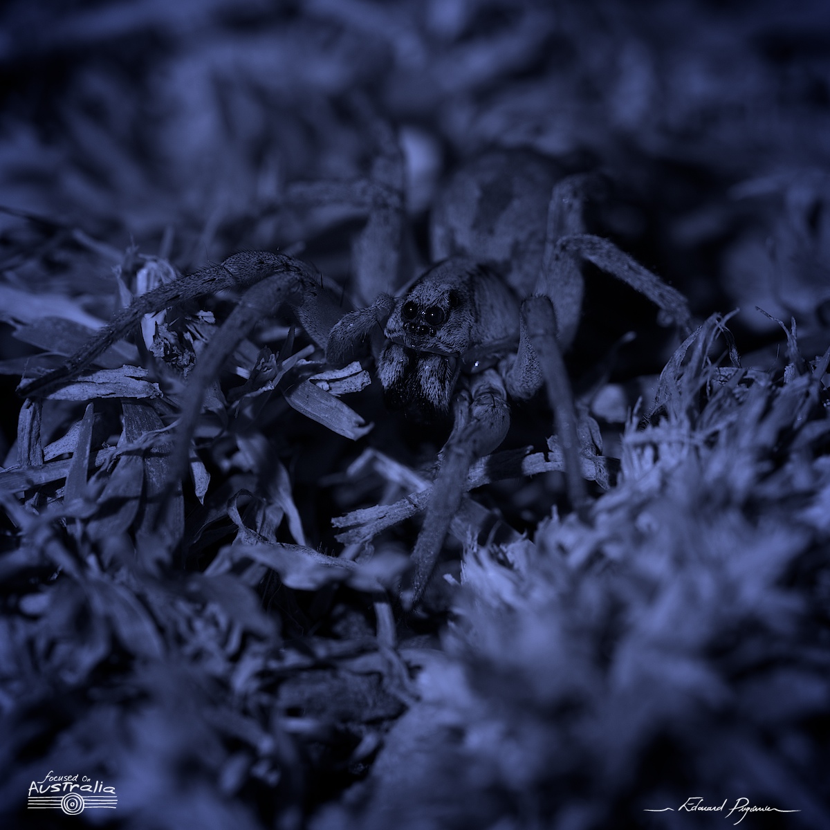 Traitement « de nuit »