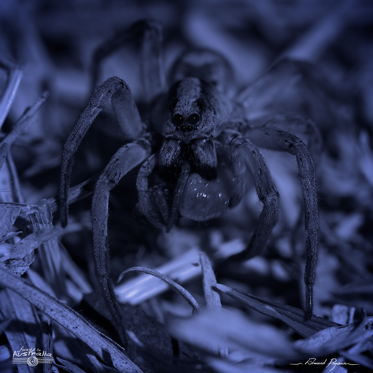 Traitement « de nuit »