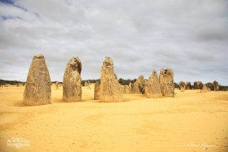 Désert des Pinacles Désert des Pinacles