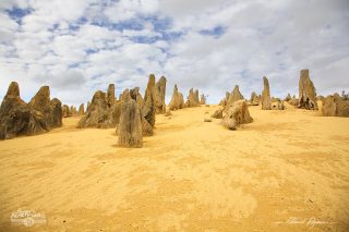 Désert des Pinacles Désert des Pinacles