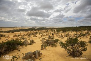 Désert des Pinacles Désert des Pinacles