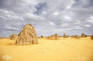 Désert des Pinacles Désert des Pinacles