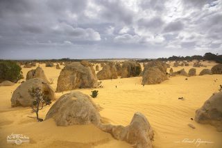 Désert des Pinacles Désert des Pinacles