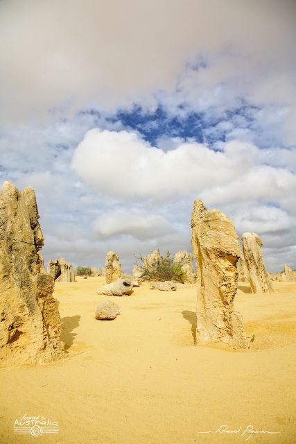 Désert des Pinacles Désert des Pinacles