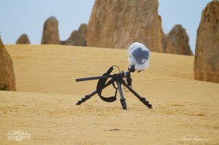 Manfrotto 055CXPRO4 Tripod