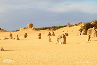 Désert des Pinacles Désert des Pinacles