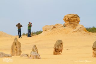 Désert des Pinacles Désert des Pinacles