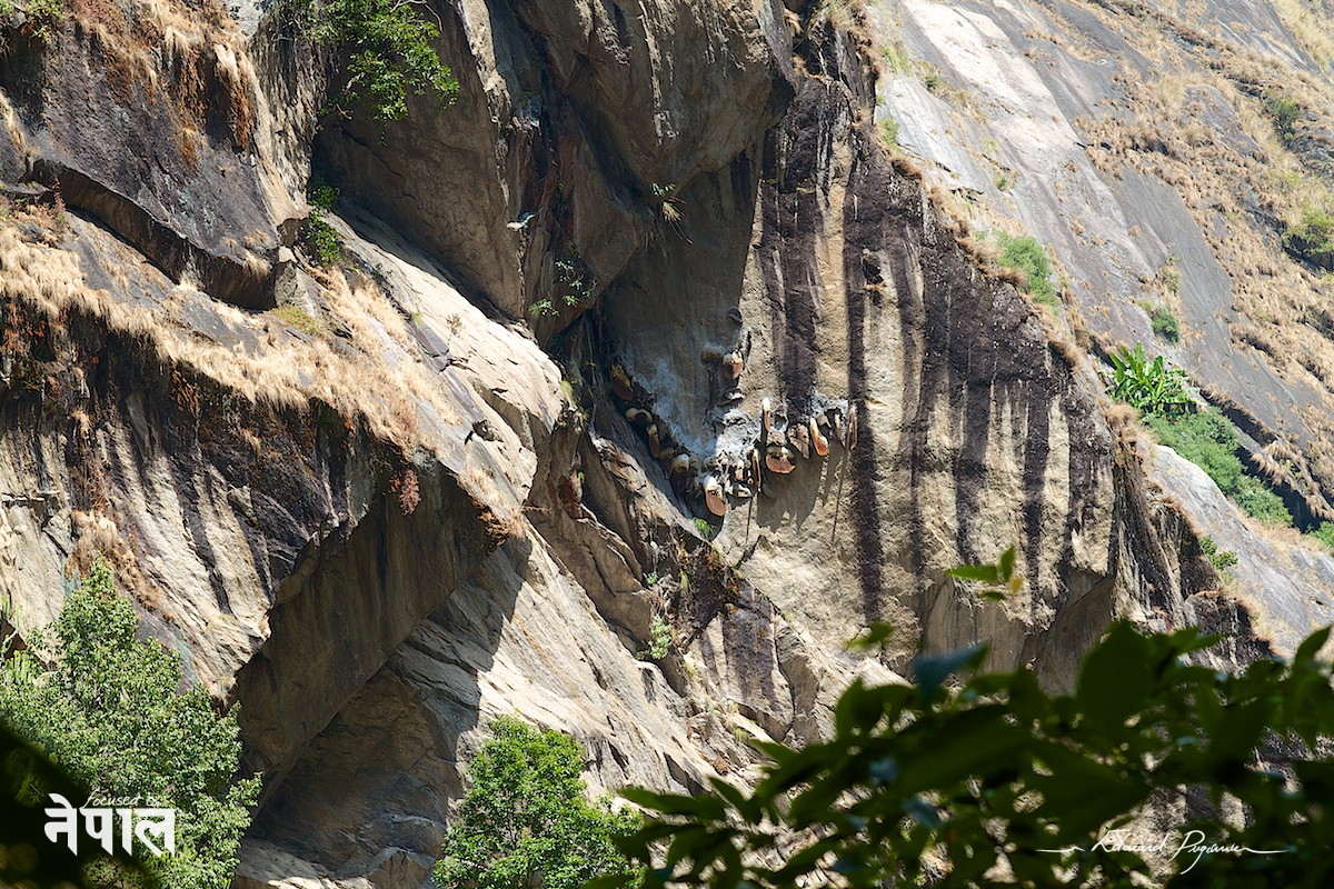 Canon EF 85mm ƒ/1.2L II USM sur 7D