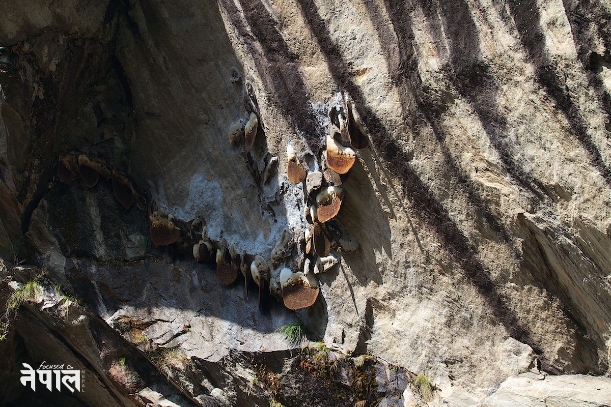 Canon EF 100-400mm ƒ/4.5-5.6L IS USM sur 7D)