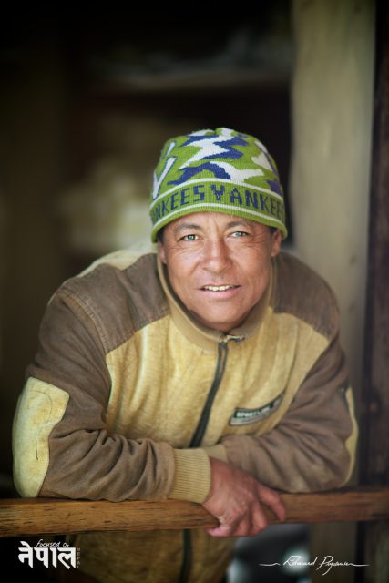 Le Fromager de Chandanbari 