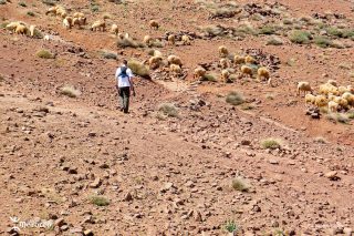 Malika, bergère Malika, bergère