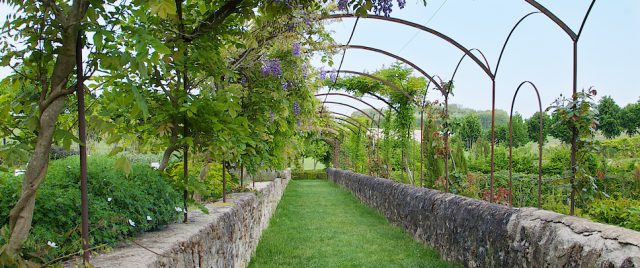 Jardin du Château de la Chatonnière