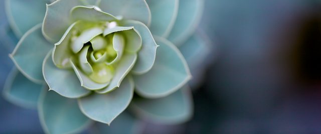 Sharp edges