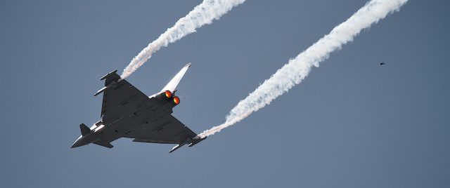 Course d'oiseaux